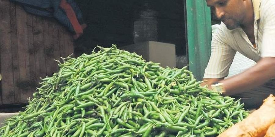 Aajchi Navi Mumbai | शेतकर्‍याला बसला मिरचीचा ठसका