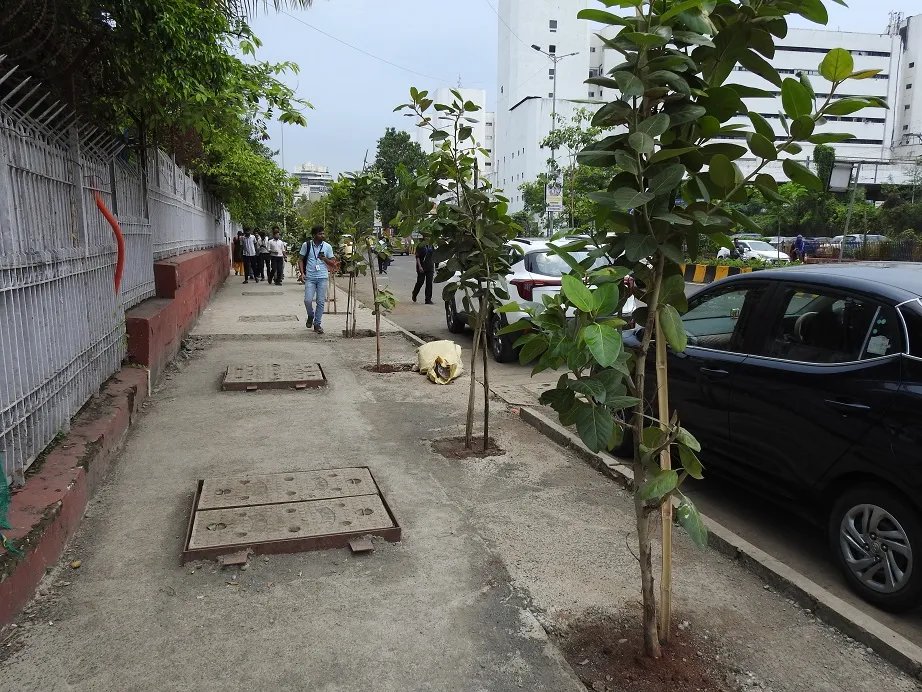Aajchi Navi Mumbai | उद्यान विभागाचे बिनडोक वृक्षारोपण