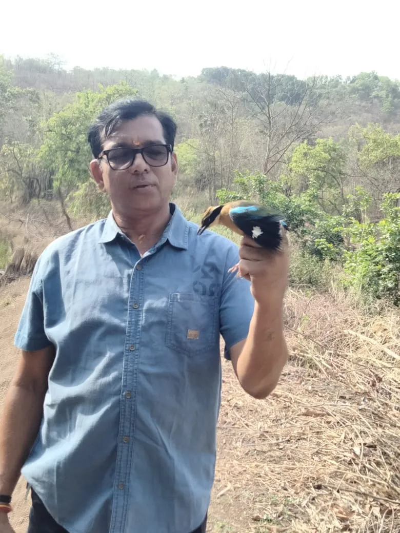 Aajchi Navi Mumbai | नवरंग पक्ष्याला जीवनदान