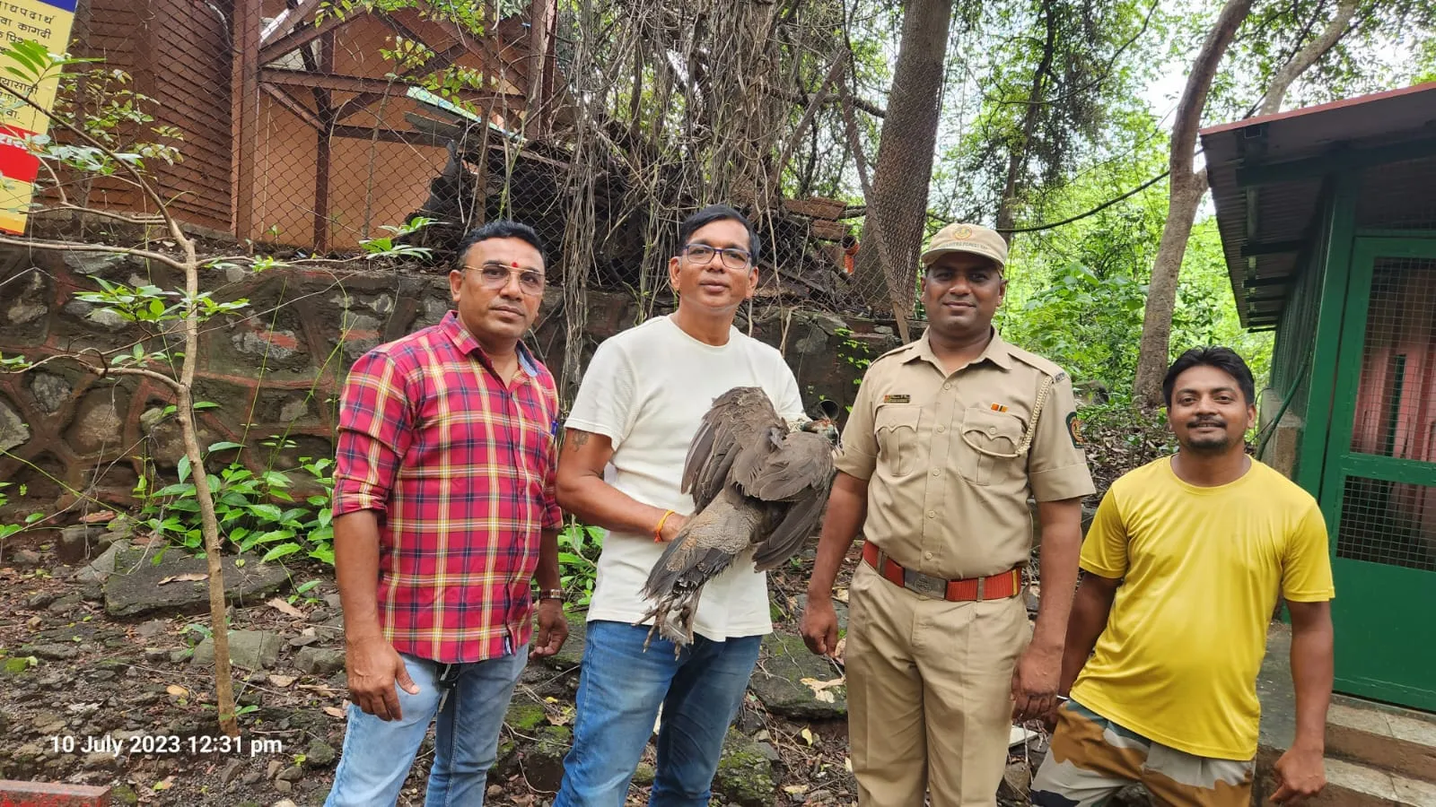 Aajchi Navi Mumbai | प्राणीप्रेमी राजू मुंबईकरांनी वाचविले मोराचे प्राण