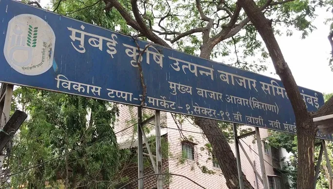 Aajchi Navi Mumbai | फळ मार्केटच्या माजी संचालकांना अटक