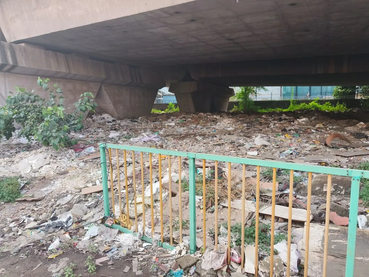 Aajchi Navi Mumbai | पामबीचवरील पुलाखाली कचऱ्याचे साम्राज्य
