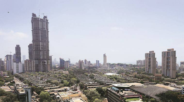 Aajchi Navi Mumbai | गिधाडांची नगरी