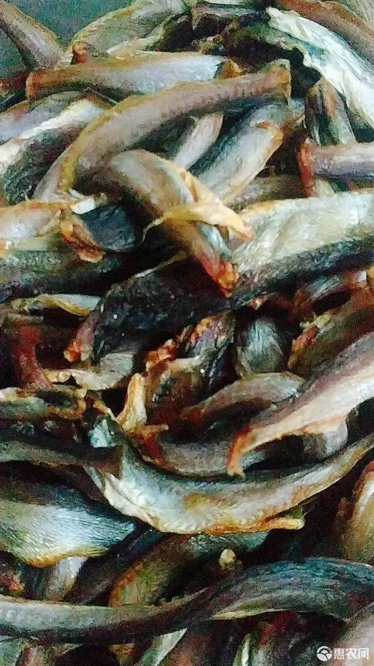 Aajchi Navi Mumbai | चिवणी माशाचे दर कडाडले