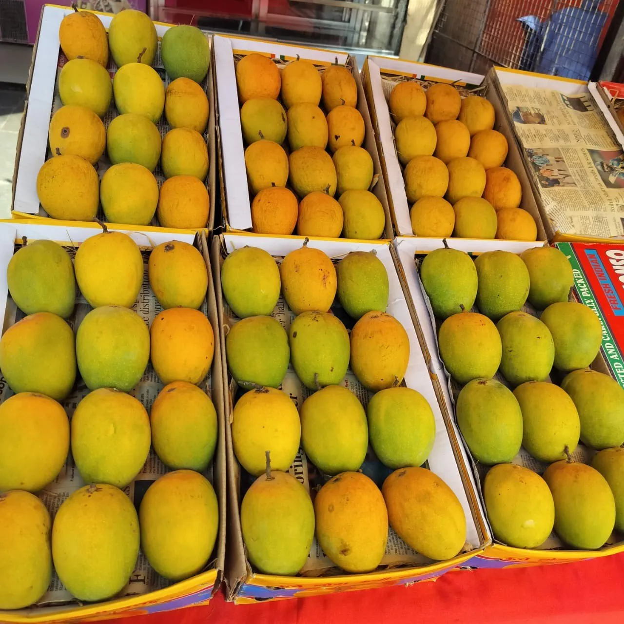 Aajchi Navi Mumbai | एपीएमसीत हापूसच्या 14 हजार पेट्या; यंदा अल्प आवक